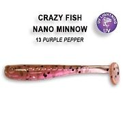 Nano minnow 1.6" 6-40-13-6