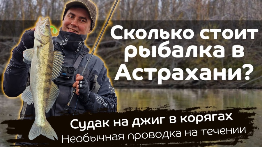 Сколько стоит рыбалка в Астрахани? Судак в корягах на джиг / Уловистая проводка на течении