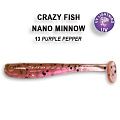 Nano minnow 1.6" 6-40-13-4