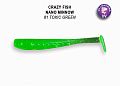 Nano minnow 1.6" 6-40-81-6