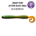 Active slug 4" 31-100-14-6