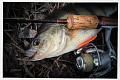 Cruel leech 2.2" 8-55-23-6