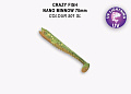 Nano minnow 2.8" 53-70-501SL-7-F