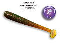 Nano minnow 2.2" 22-55-14-6