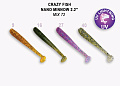 Nano minnow 2.2" 22-55-M72-6