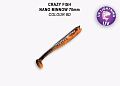 Nano minnow 2.8" 53-70-8d-7