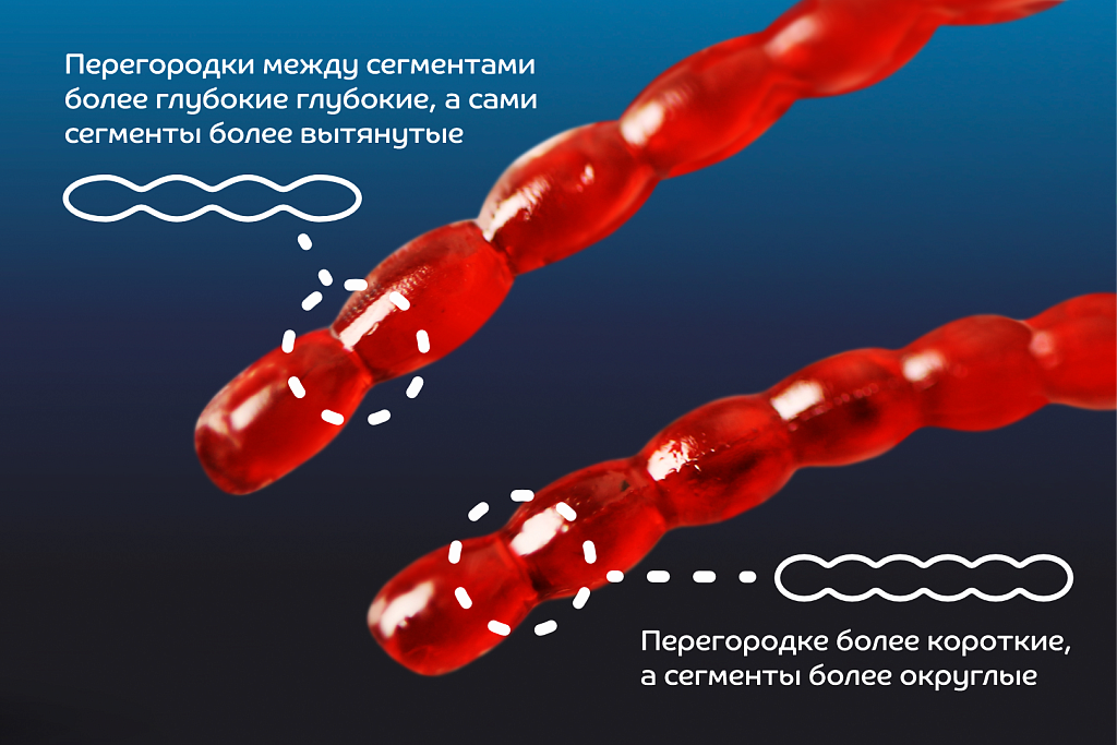 Nano worm  86-90-40-6