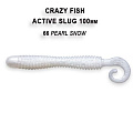 Active slug 4" 31-100-66-6