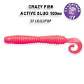 Active slug 4" 31-100-37-6