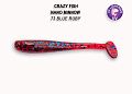 Nano minnow 2.2" 22-55-73-6