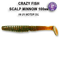 Scalp minnow 4" 18-100-14-6