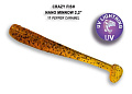 Nano minnow 2.2" 22-55-17-6