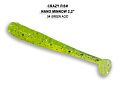 Nano minnow 2.2" 22-55-54-4
