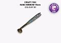 Nano minnow 2.8" 53-70-3d-7-F