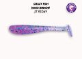 Nano minnow 2.2" 22-55-27-6