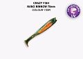 Nano minnow 2.8" 53-70-133R-7