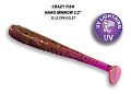 Nano minnow 2.2" 22-55-12-4