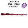 Cruel leech 2.2" 8-55-12-5