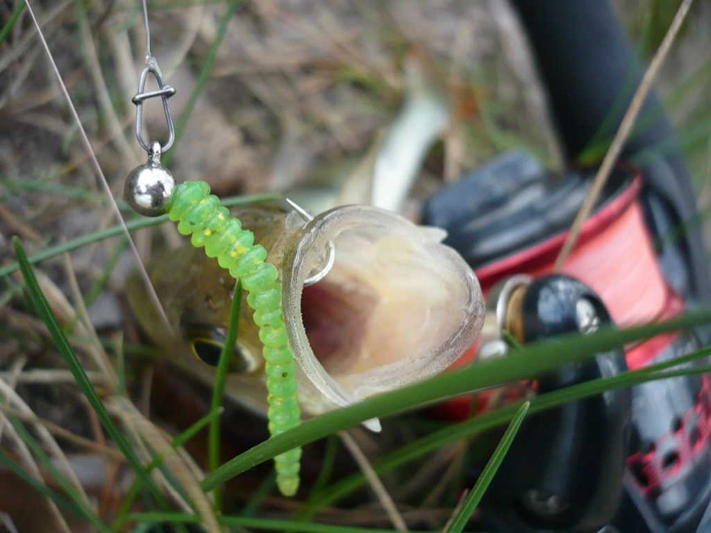 Cruel leech 2.2" 8-55-20-6