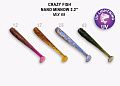 Nano minnow 2.2" 22-55-M69-6