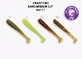 Nano minnow 2.2" 22-55-M71-6