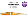 Polaris 4" 38-100-9-6