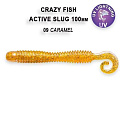Active slug 4" 31-100-9-6