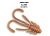 Allure 1.6" 23-40-52-6
