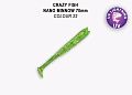 Nano minnow 2.8" 53-70-22-7-F