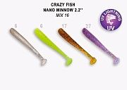 Nano minnow 2.2" 22-55-M16-6
