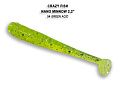 Nano minnow 2.2" 22-55-54-6