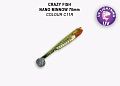 Nano minnow 2.8" 53-70-C11R-7