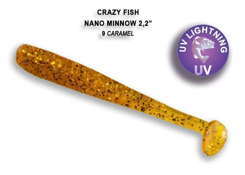 Nano minnow 2.2" 22-55-9-6