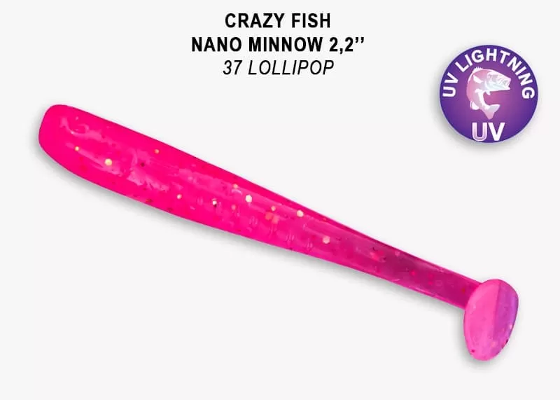 Nano minnow 2.2" 22-55-37-6